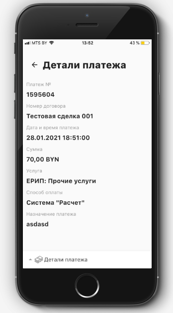 Рисунок 2 - Детальная информация по платежу