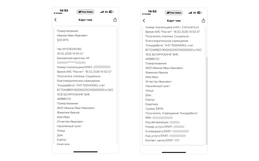 Получаем карт-чек: платёж прошёл